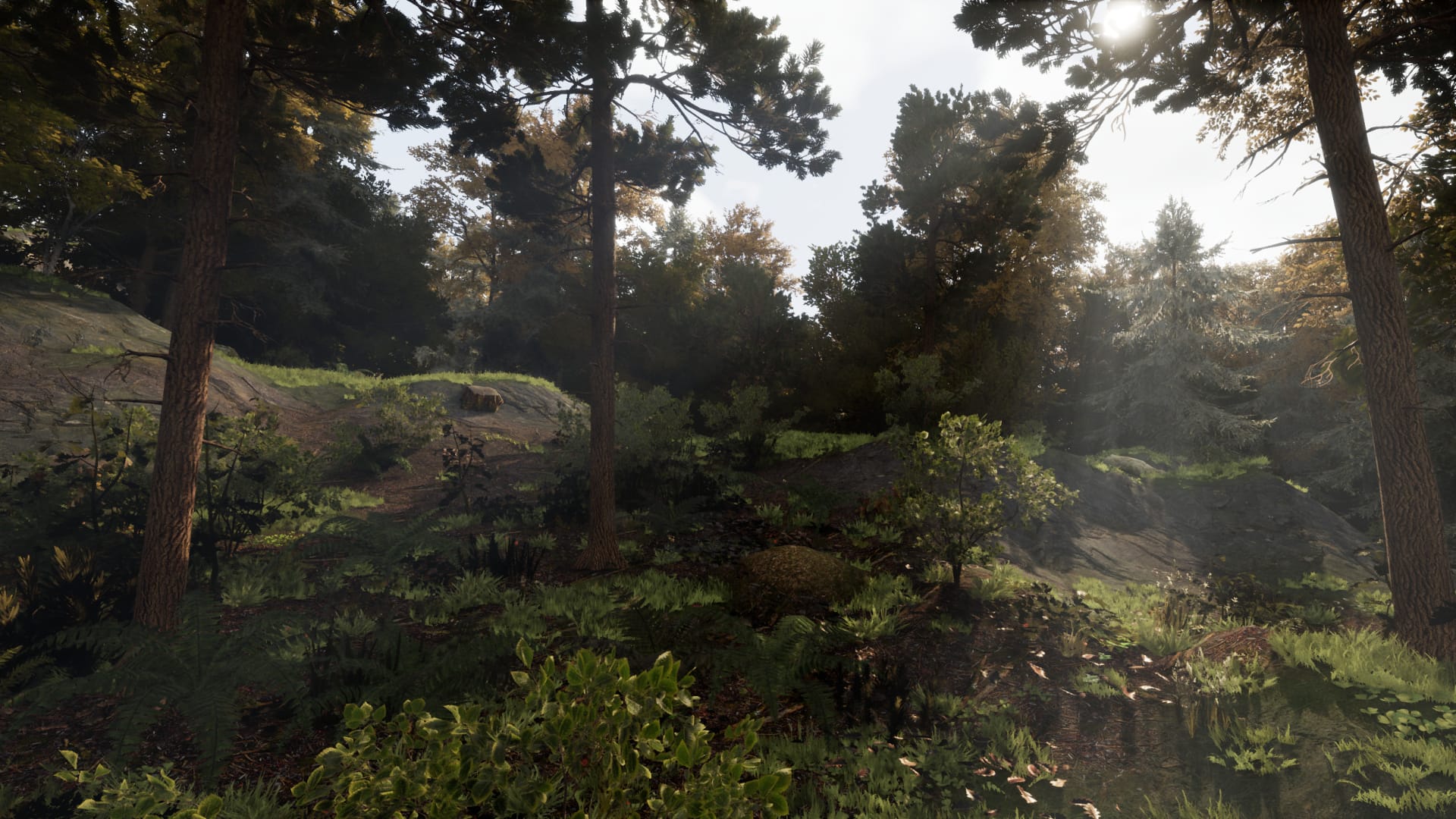 VEIN Weekly: Holiday Notes