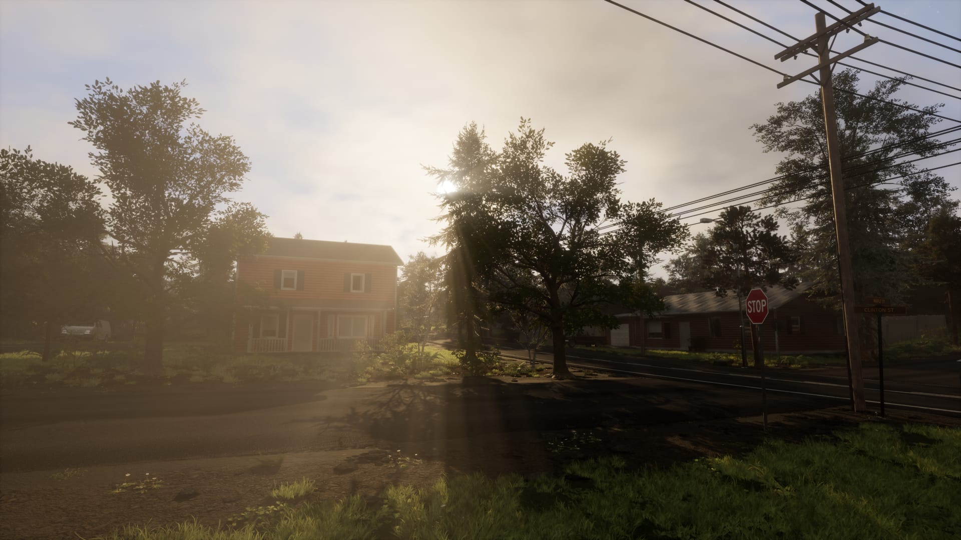 VEIN Weekly: Stump Removal