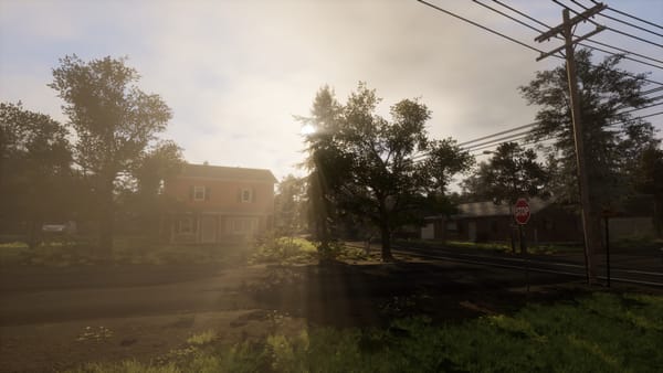 VEIN Weekly: Stump Removal